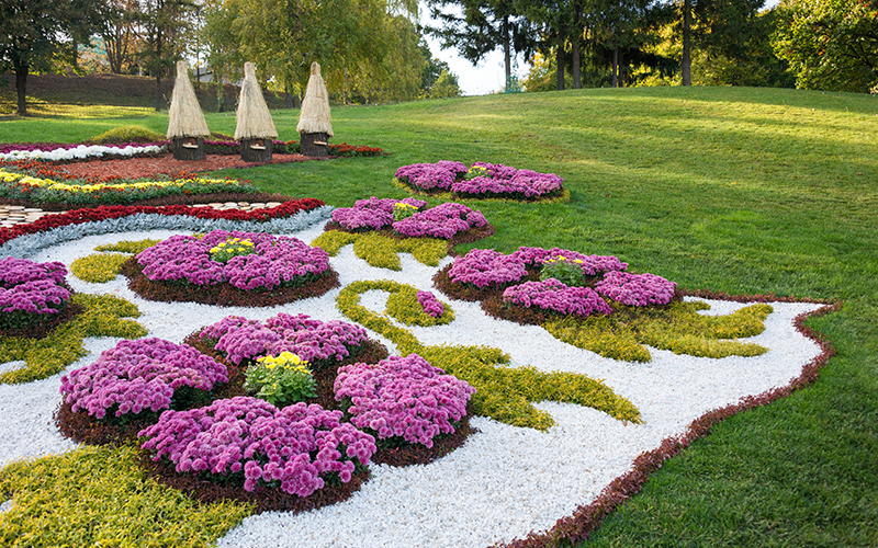 Instrutores Qualificados